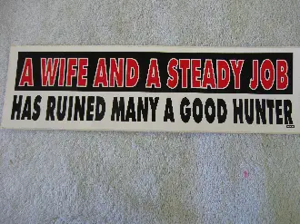 a wife and a steady job